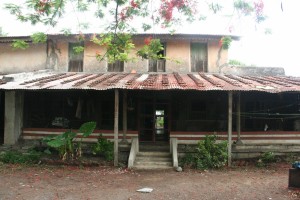 IMG 0551