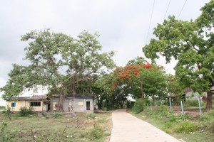 IMG 0555