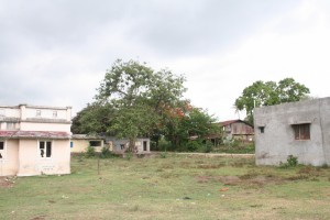 IMG 0557