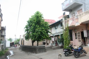 IMG 0565