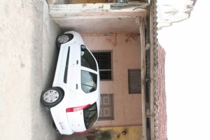 IMG 0617