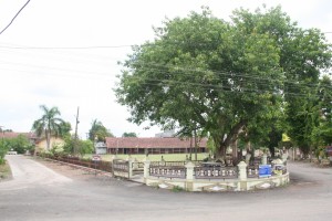 IMG 0633
