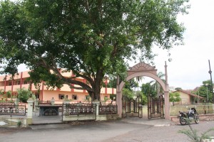 IMG 0634