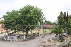 IMG 0648