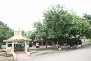 IMG 0651