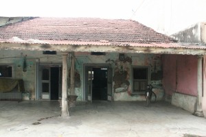 IMG 0659