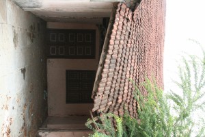IMG 0672