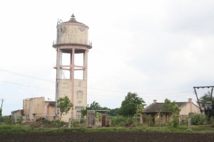 IMG 0675