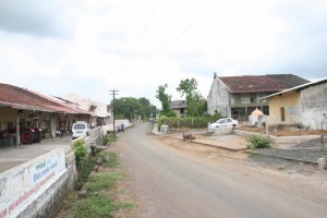 IMG 0678